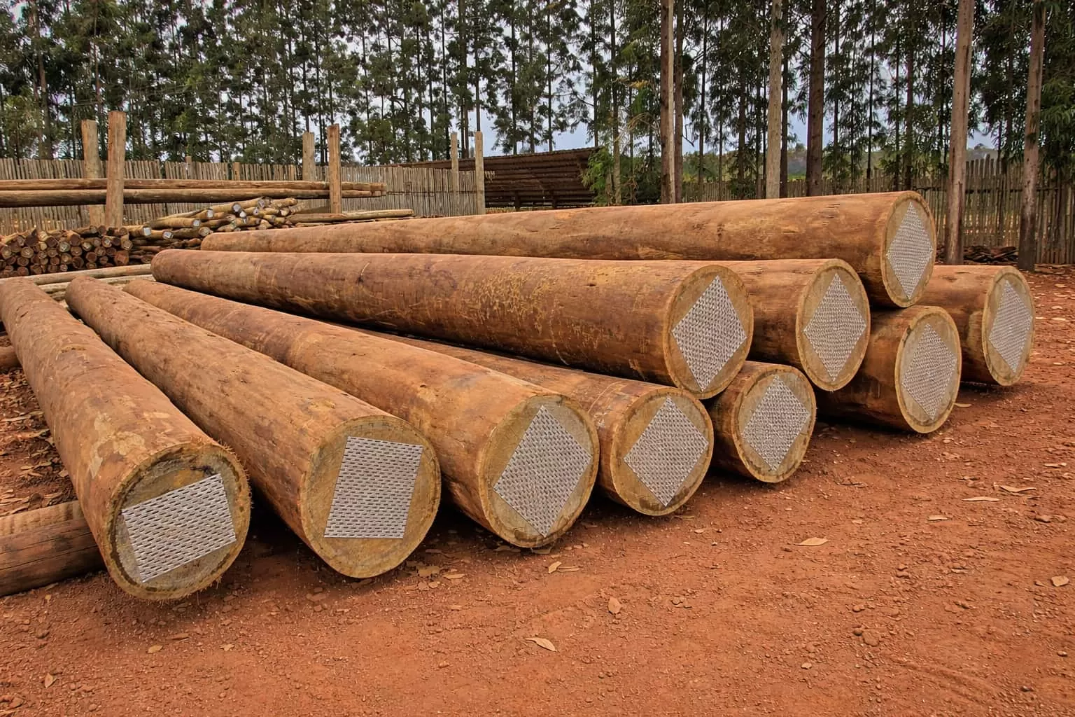 Guia de Compra no Melhor da Madeira
