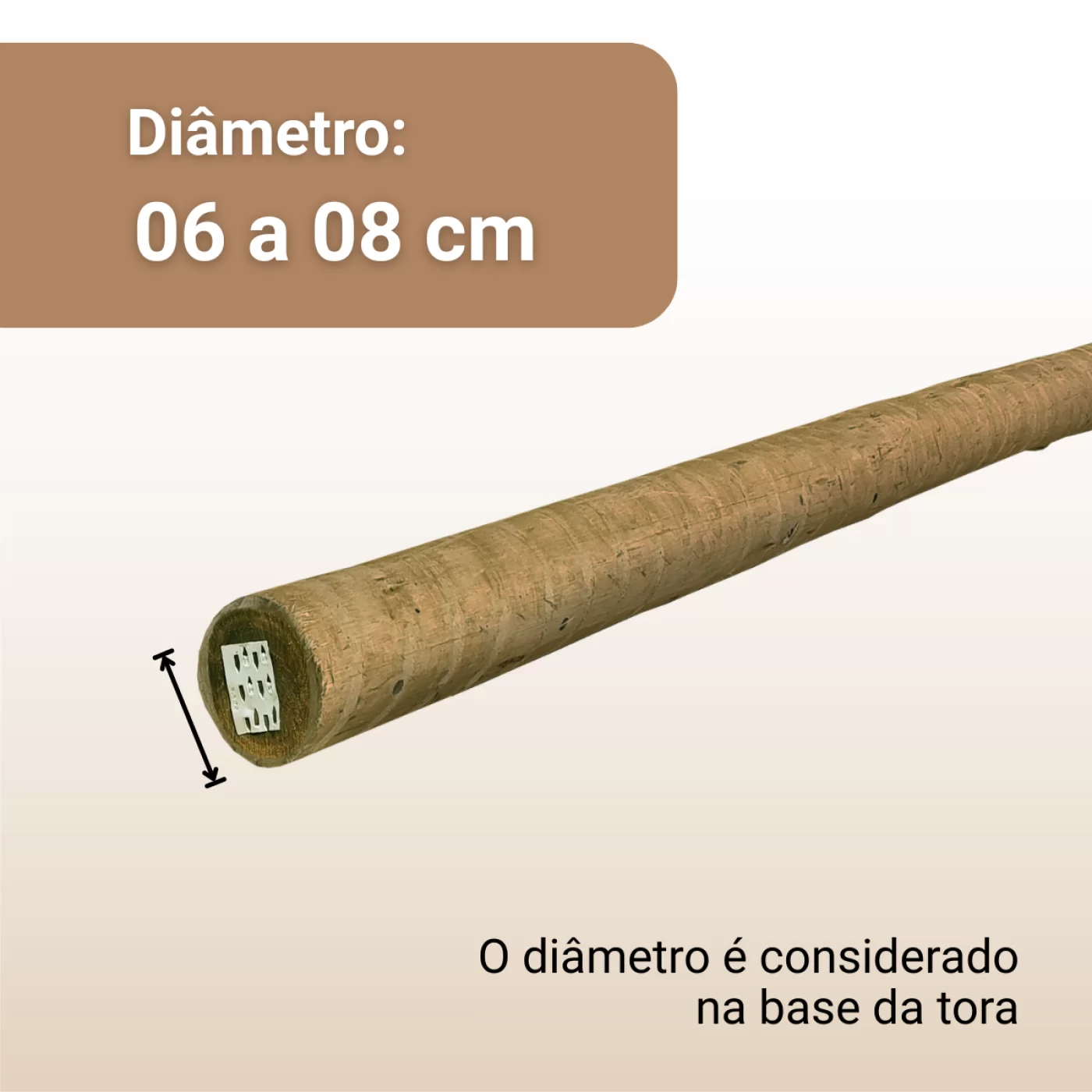 06 a 08 cm de Diâmetro