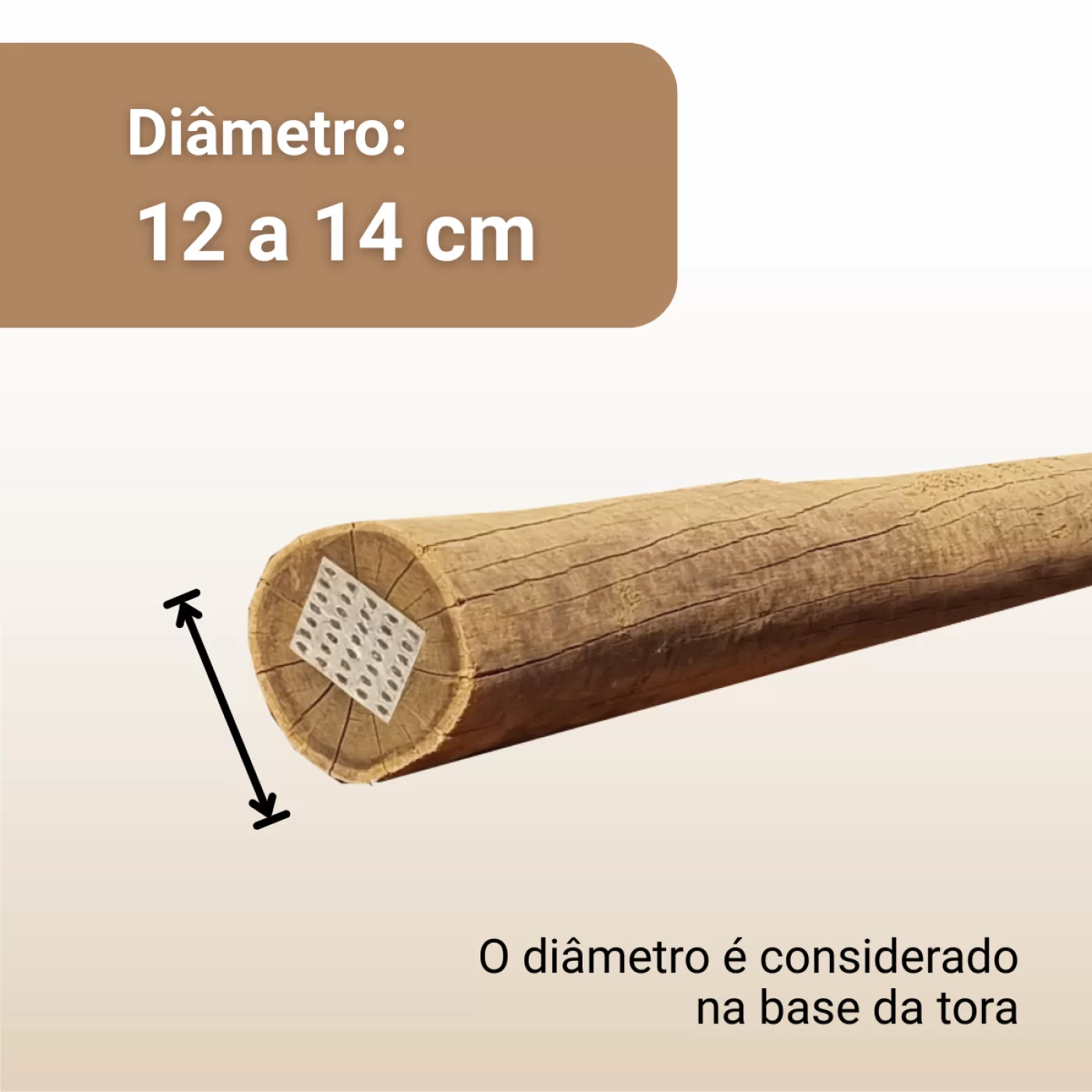 12 a 14 cm de Diâmetro